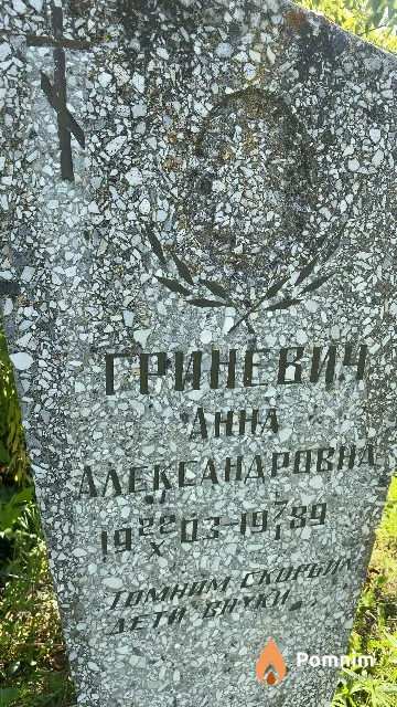 Гриневич Анна Александровна