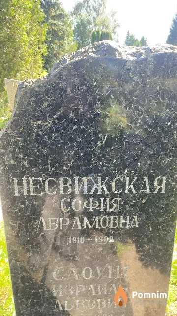 Несвижская София Абрамовна