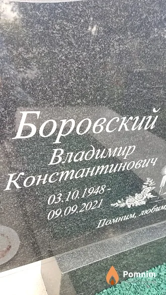 Боровский Владимир Константинович