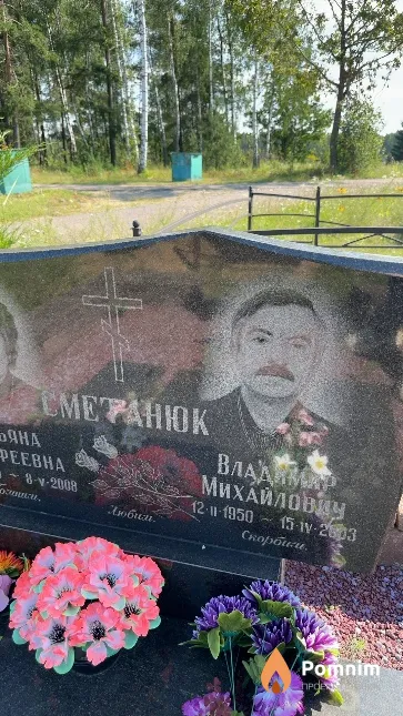 Сметанюк Владимир Михайлович