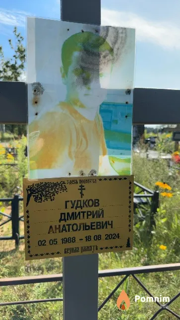 Гудков Дмитрий Анатольевич