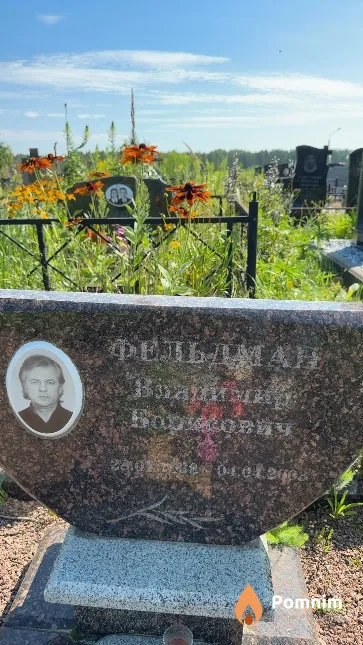 Фельдман Владимир Борисович