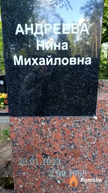 Андреева Нина Михайловна