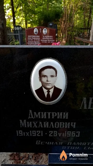 Лебедев Дмитрий Михайлович