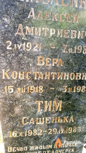 Тим Сашенька