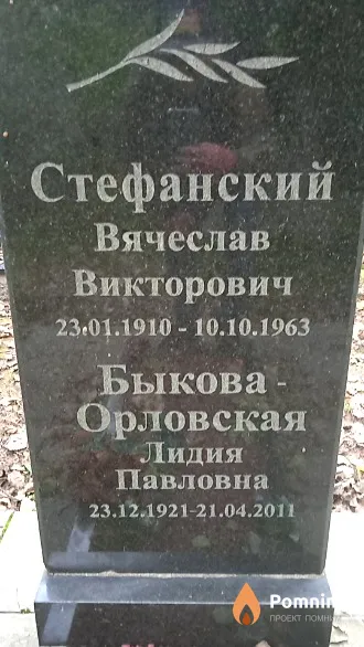 Стефанский Вячеслав Викторович