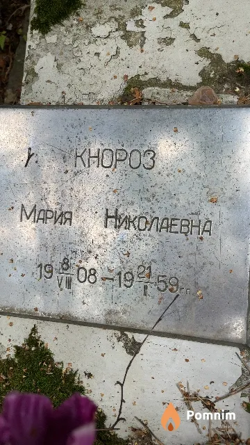 Кнороз Мария Николаевна