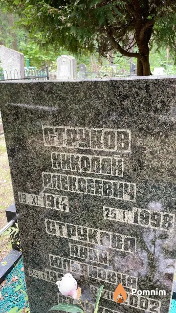 Струков Николай Алексеевич