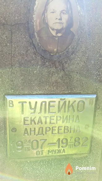 Тулейко Екатерина Андреевна