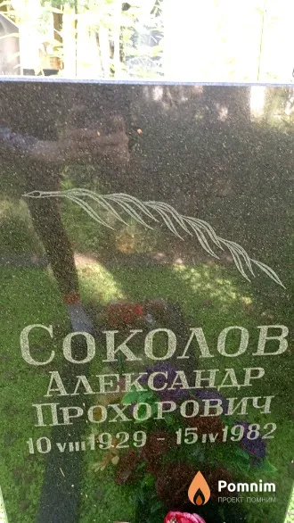 Соколов Александр Прохорович