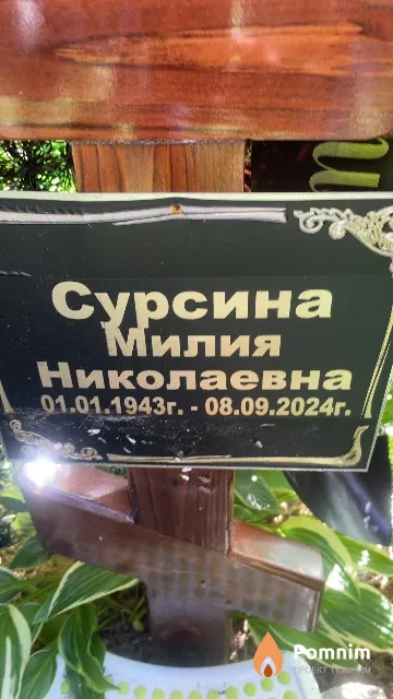 Сурсина Милия Николаевна