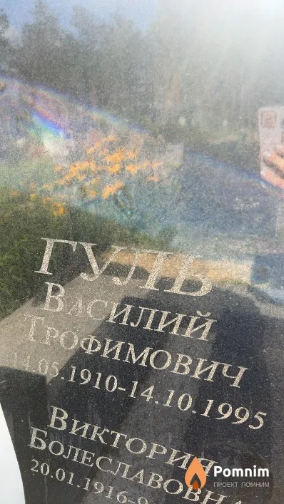 Гуль Василий Трофимович
