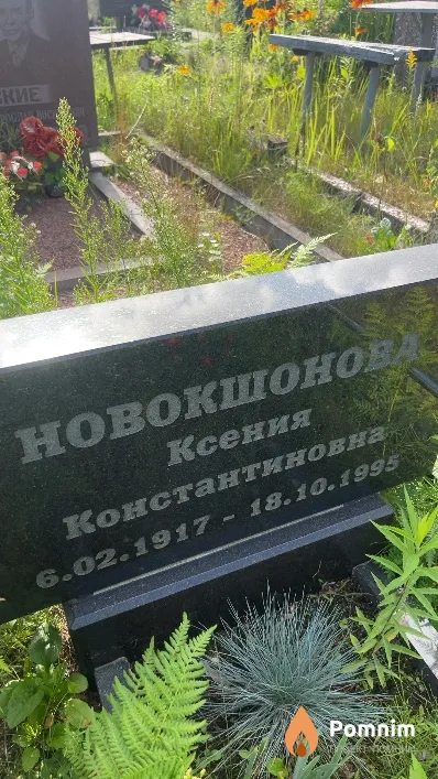Новокшонова Ксения Константиновна