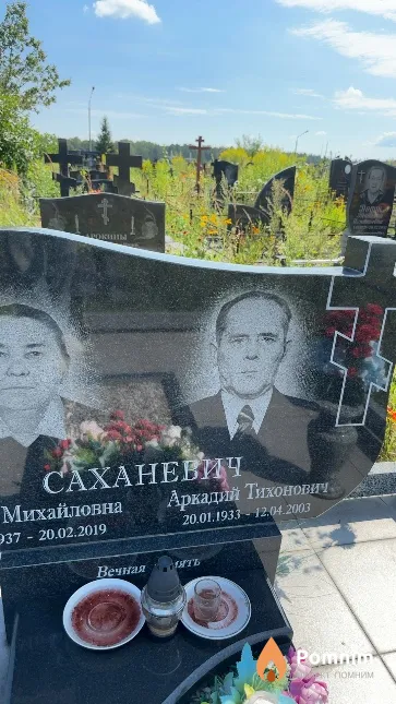 Саханевич Аркадий Тихонович