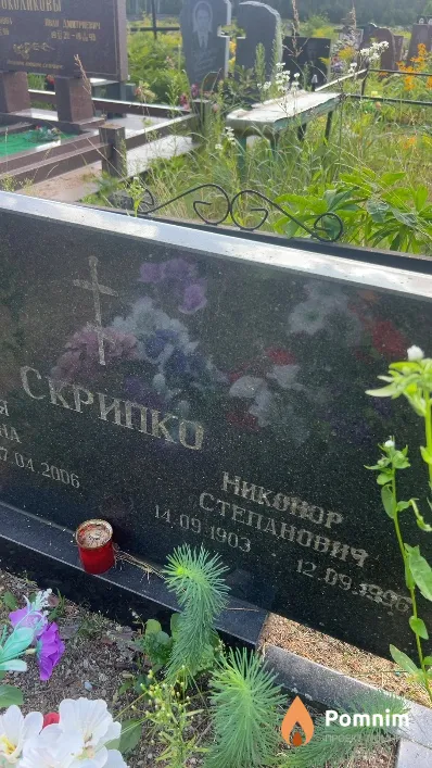 Скрипко Никонор Степанович