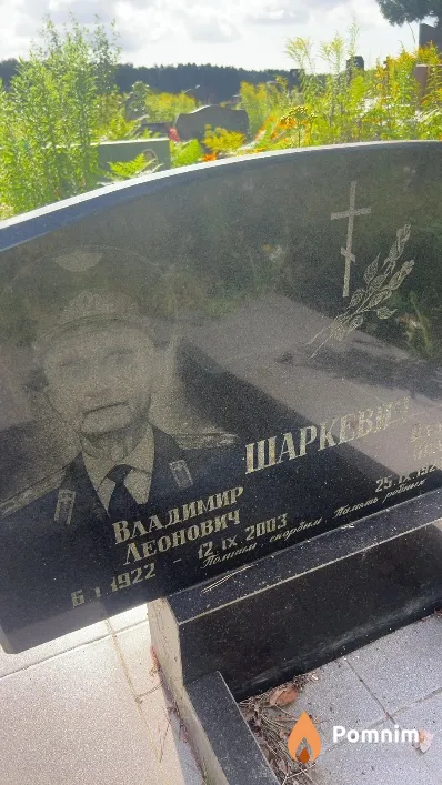 Шаркевич Владимир Леонович