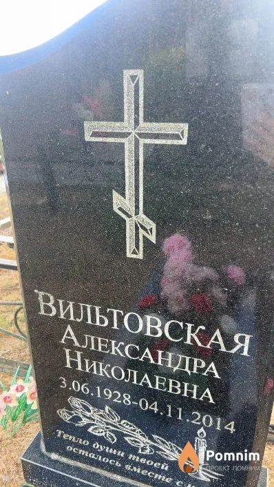 Вильтовская Александра Николаевна