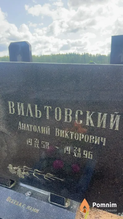 Вильтовский Анатолий Викторович