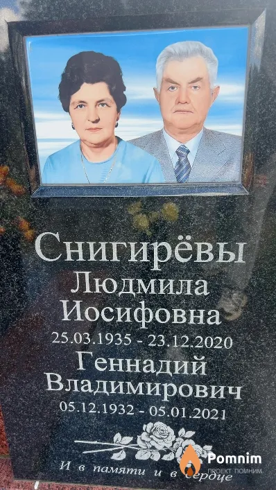 Снигирёв Геннадий Владимирович