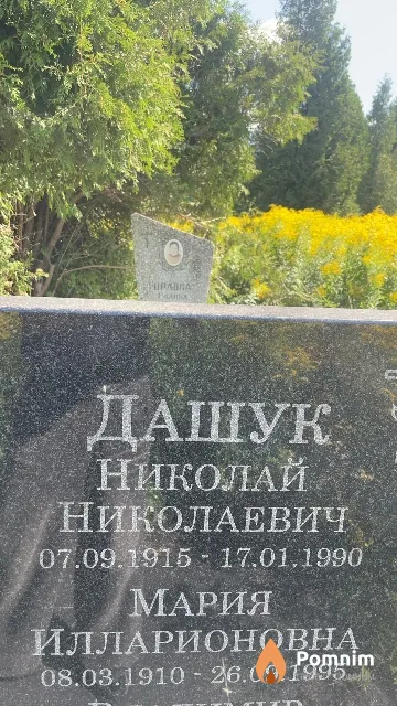 Дашук Николай Николаевич