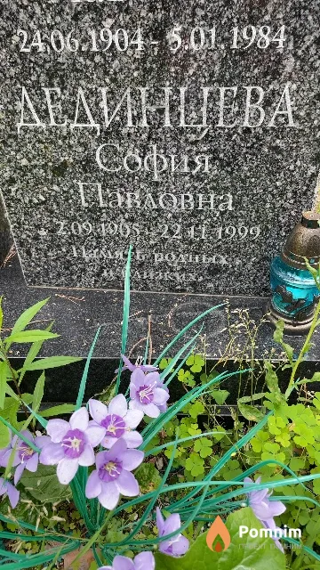 Дединцева София Павловна