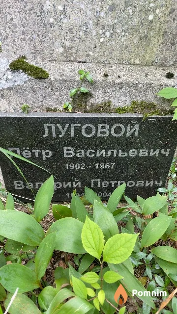 Луговой Пётр Васильевич