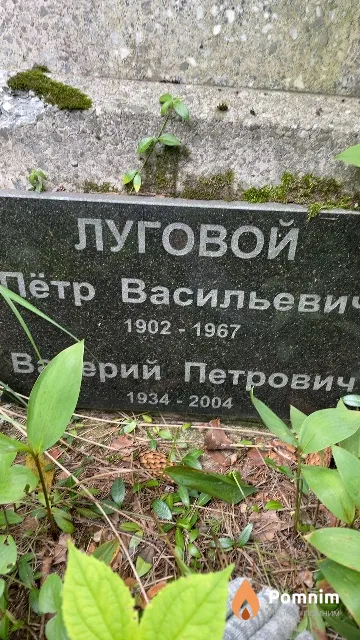 Луговой Валерий Петрович