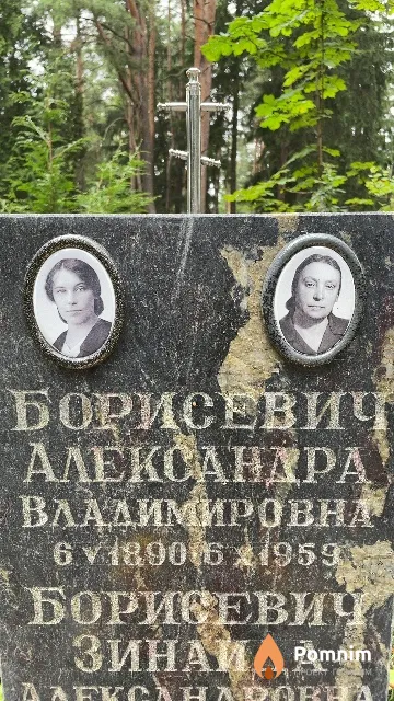 Борисевич Александра Владимировна