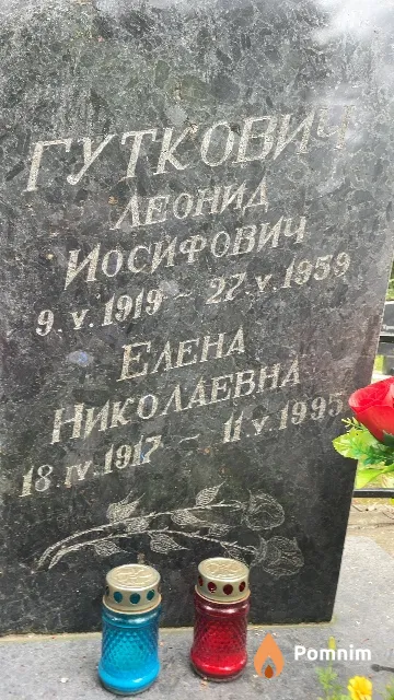 Гуткович Елена Николаевна