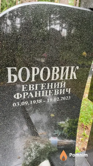 Боровик Евгений Францевич
