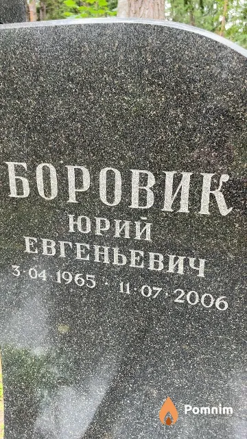 Боровик Юрий Евгеньевич