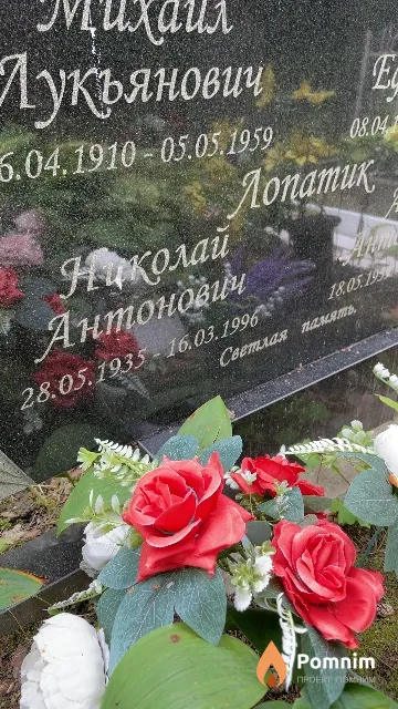 Лопатик Николай Антонович