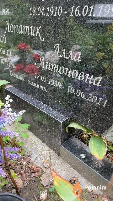 Лопатик Алла Антоновна