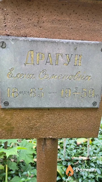 Драгун Елена Семеновна