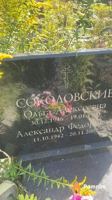 Соколовская Ольга Алексеевна