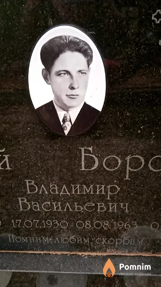 Боровик Владимир Васильевич