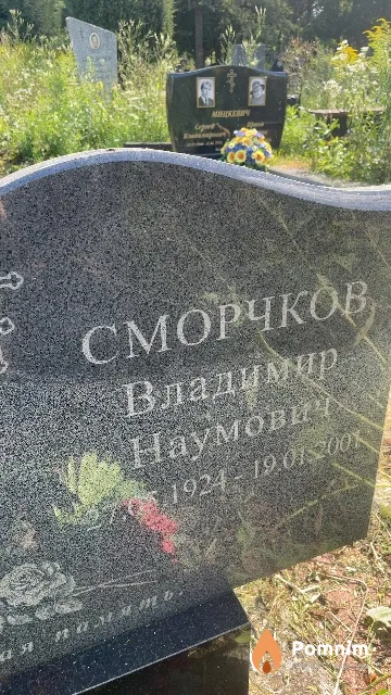 Сморчков Владимир Наумович