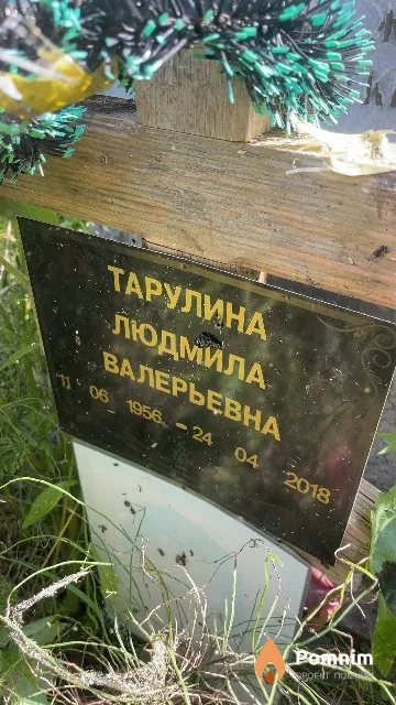 Тарулина Людмила Валерьевна
