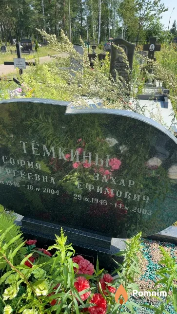 Темкин Захар Ефимович