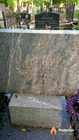 Славин Вениамин Николаевич