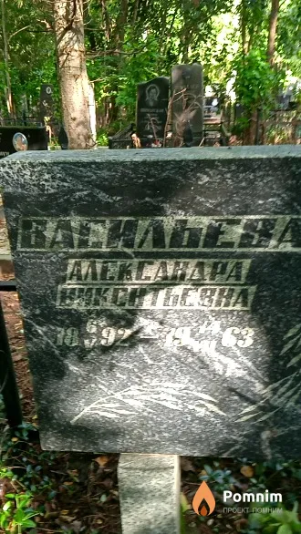 Васильева Александра Виконтьевна