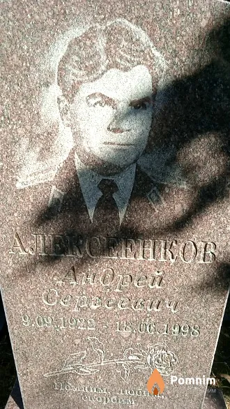 Алексеенков Андрей Сергеевич