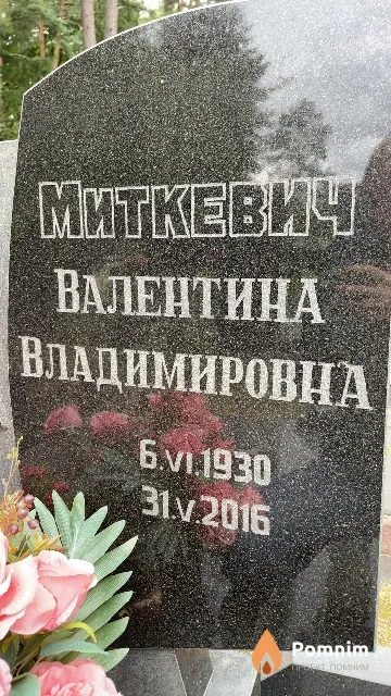 Миткевич Валентина Владимировна