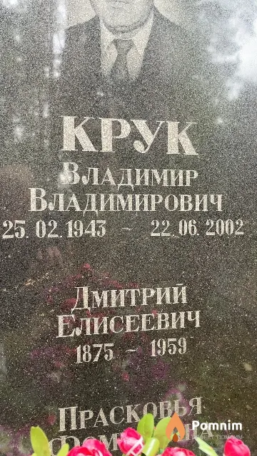Крук Дмитрий Елисеевич