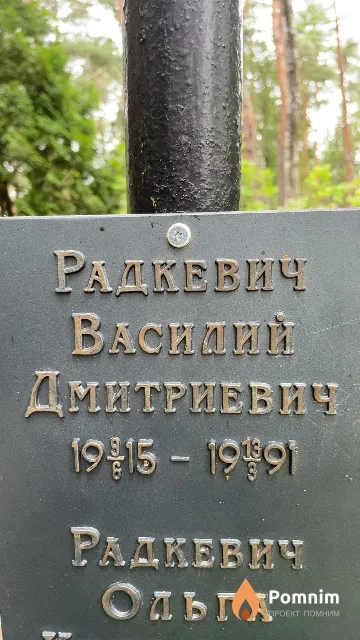 Радкевич Василий Дмитриевич
