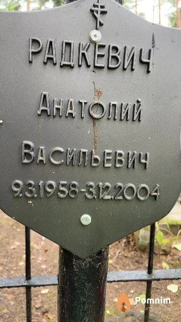 Радкевич Анатолий Васильевич