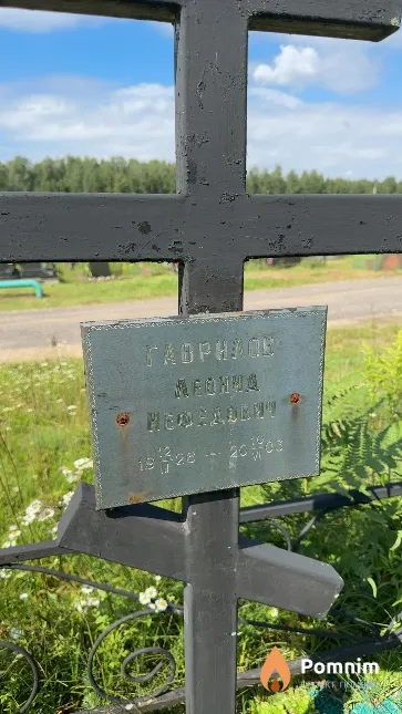 Гаврилов Леонид Нефедович