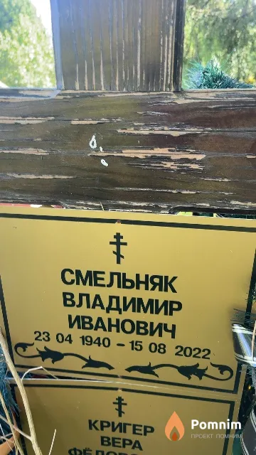 Смельняк Владимир Иванович