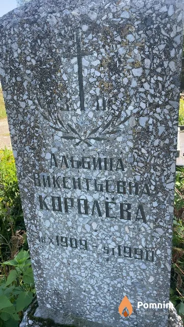 Королёва Альбина Викентьевна