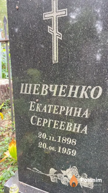 Шевченко Екатерина Сергеевна